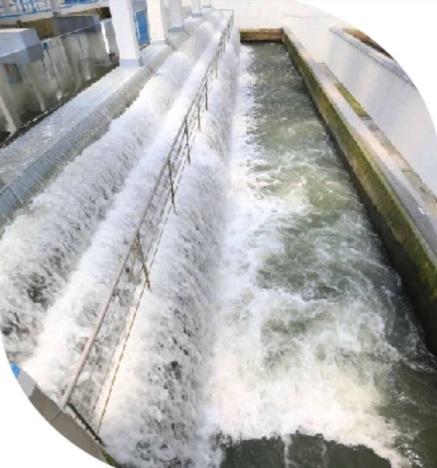 Arıtma Tuzu raine tuzdan