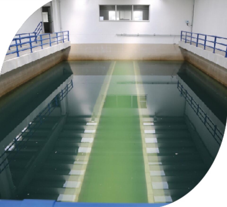 Arıtma Tuzu raine tuzdan